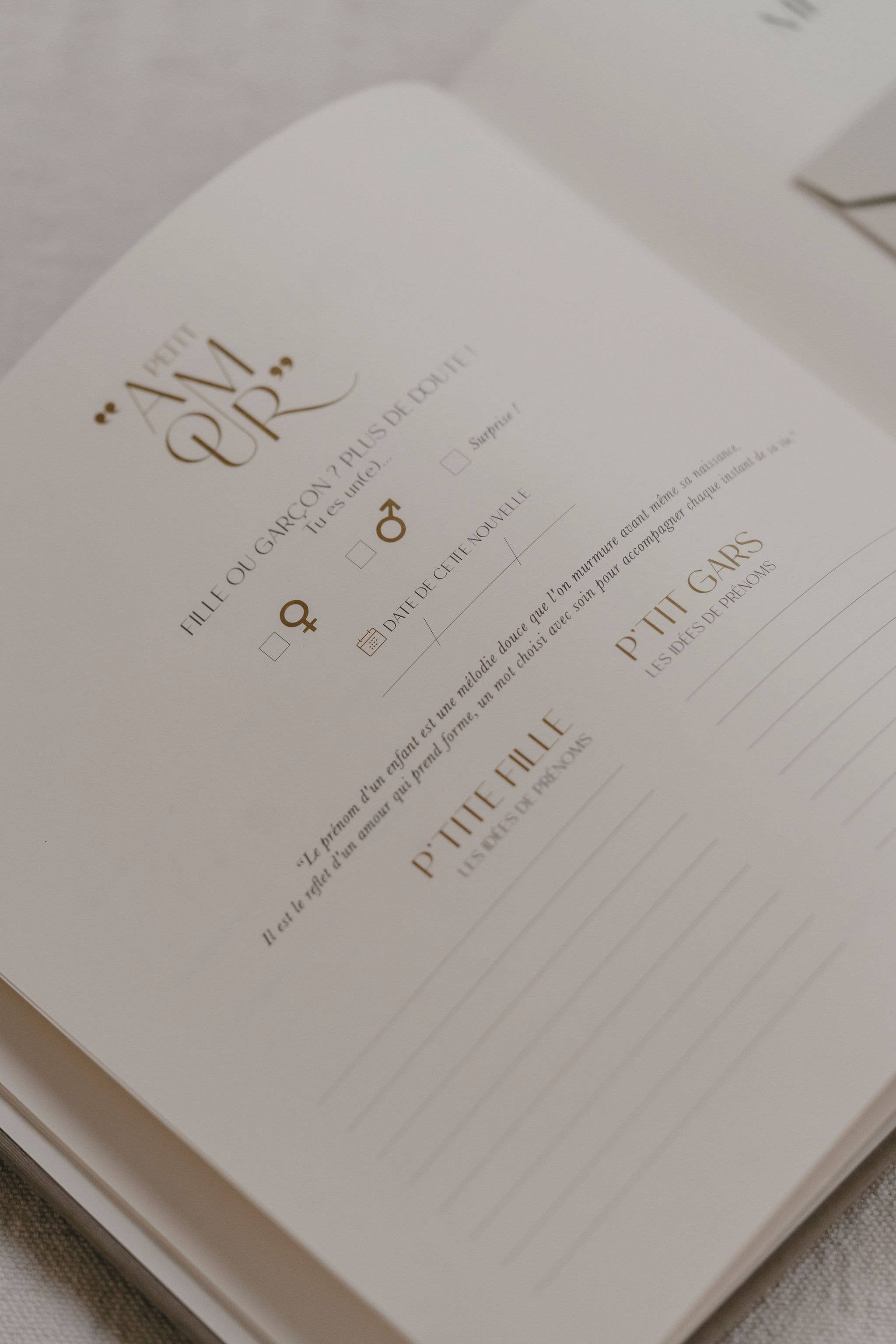 Livre de naissance - Pure lin 5