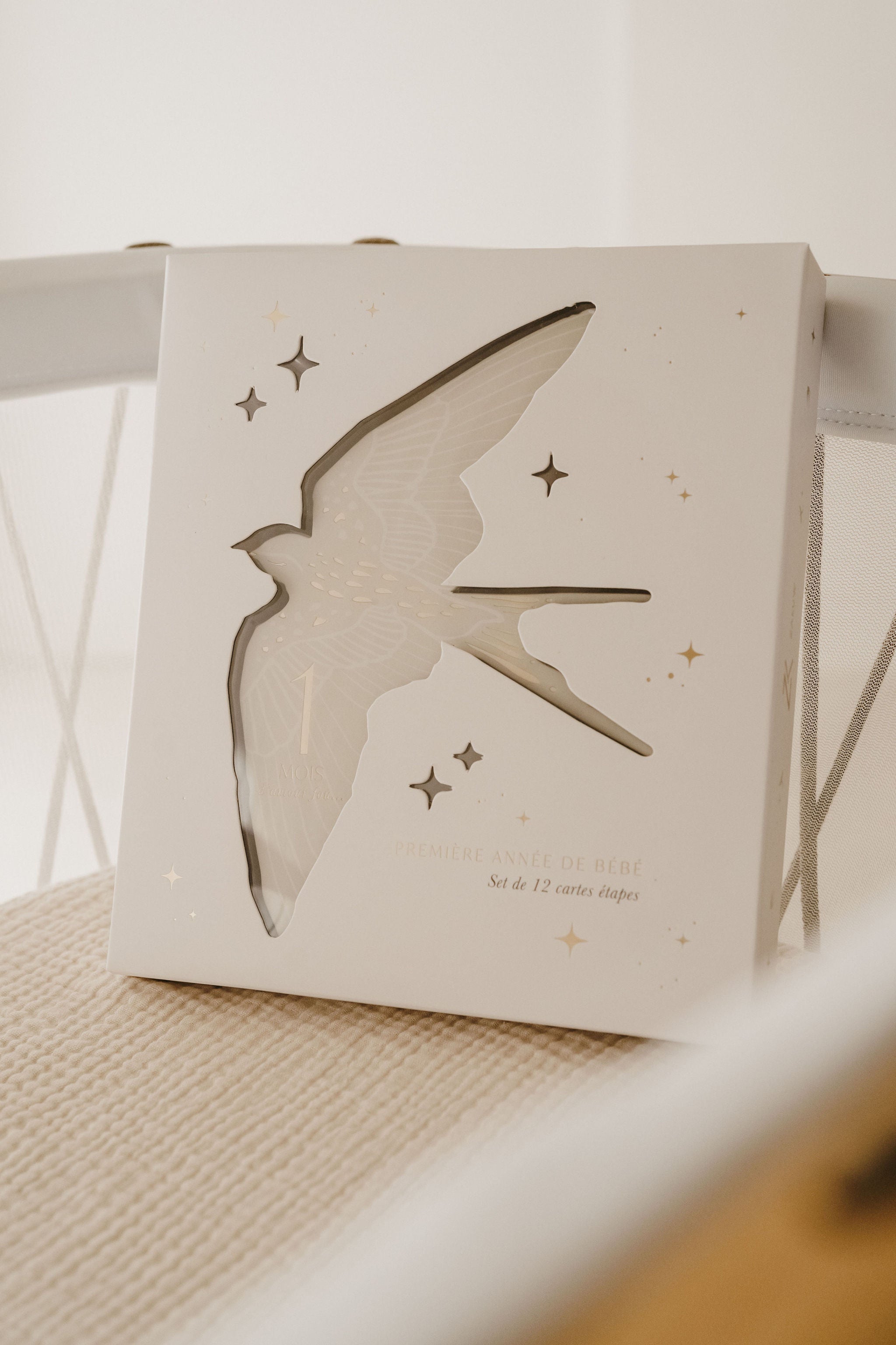 Cartes étapes Birds — Stock 1