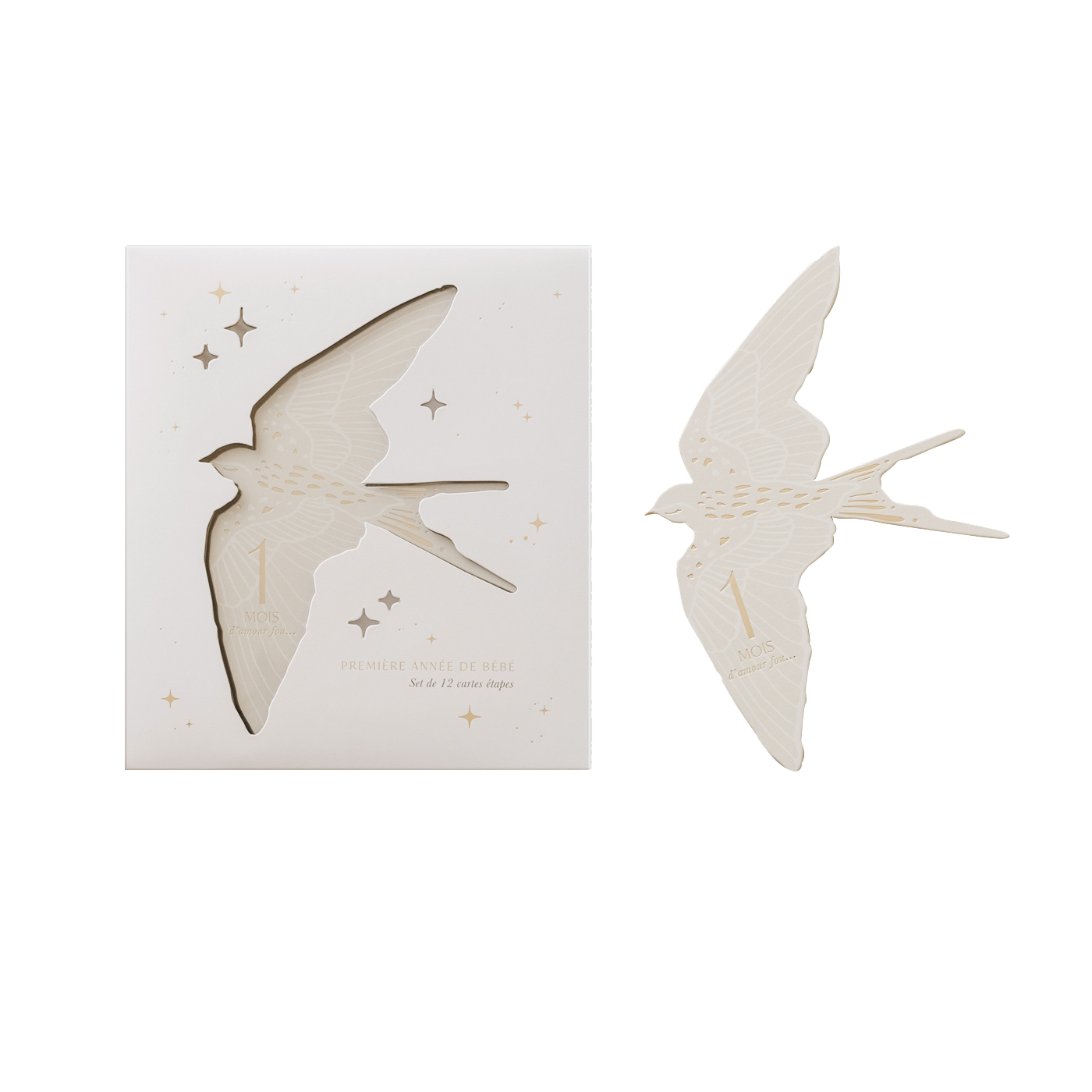 Cartes étapes Birds 6