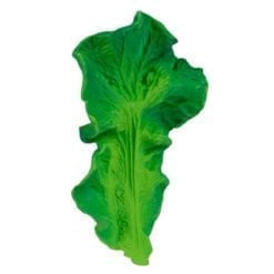 Kendal the kale - Anneau de dentition pour bébé