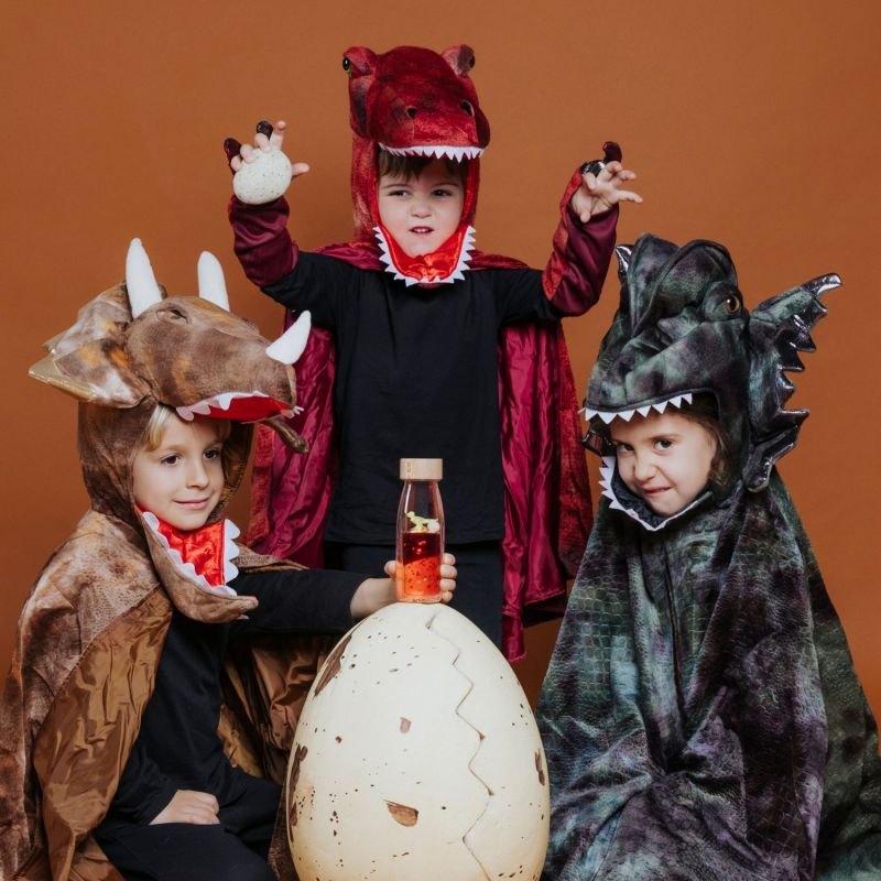 Bouteille sensorielle T-Rex Dinosaure 3