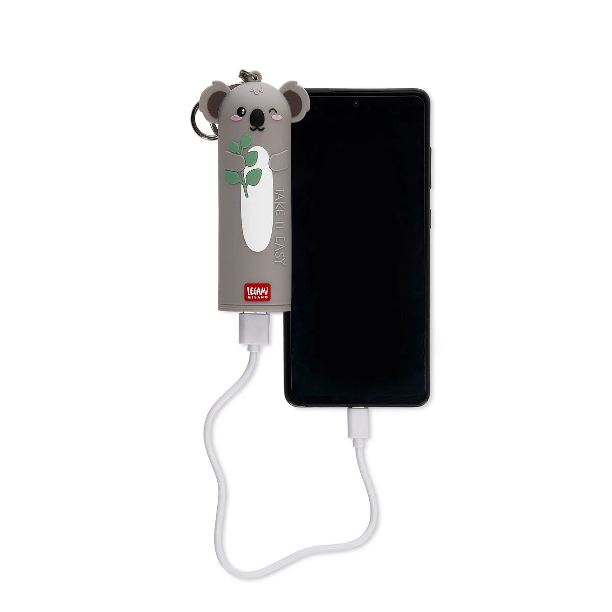 Batterie externe rechargeable 6