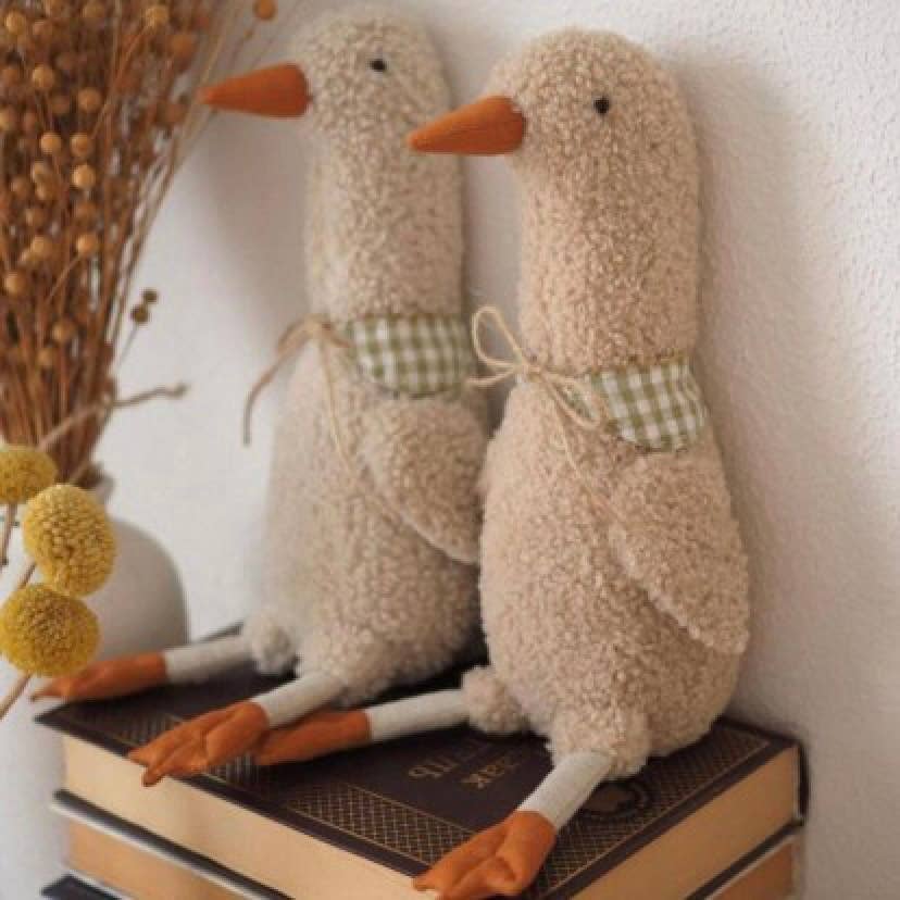 Poussins Annie & Charles®