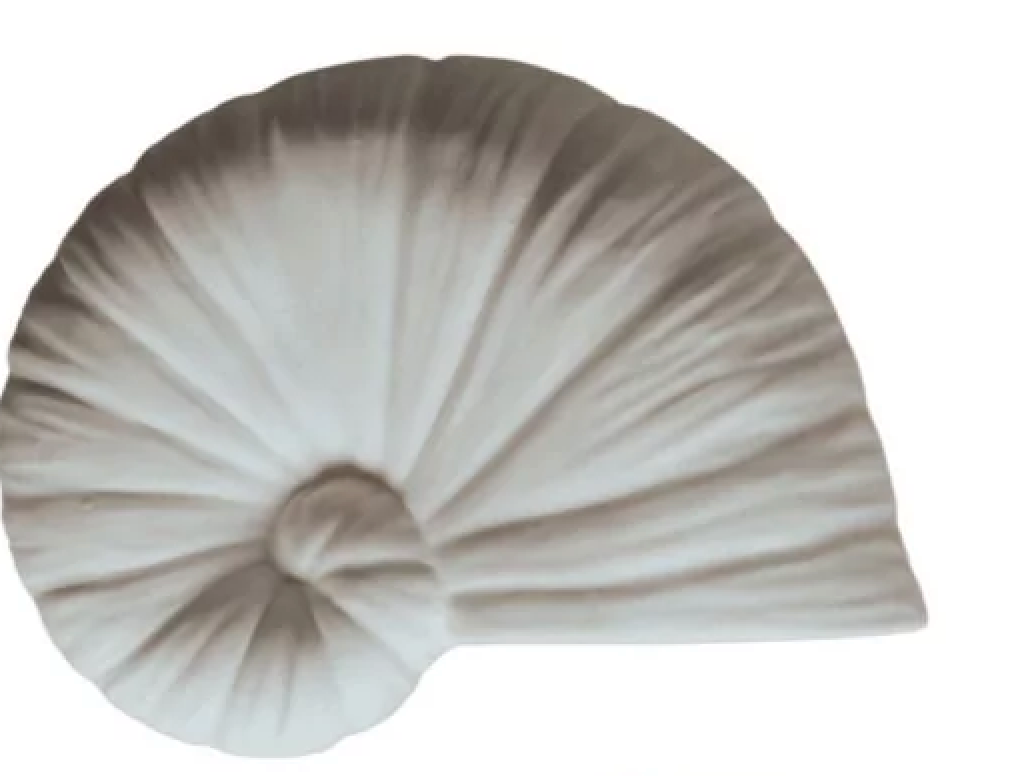 Anneau de dentition coquillage — Coquillage blanc