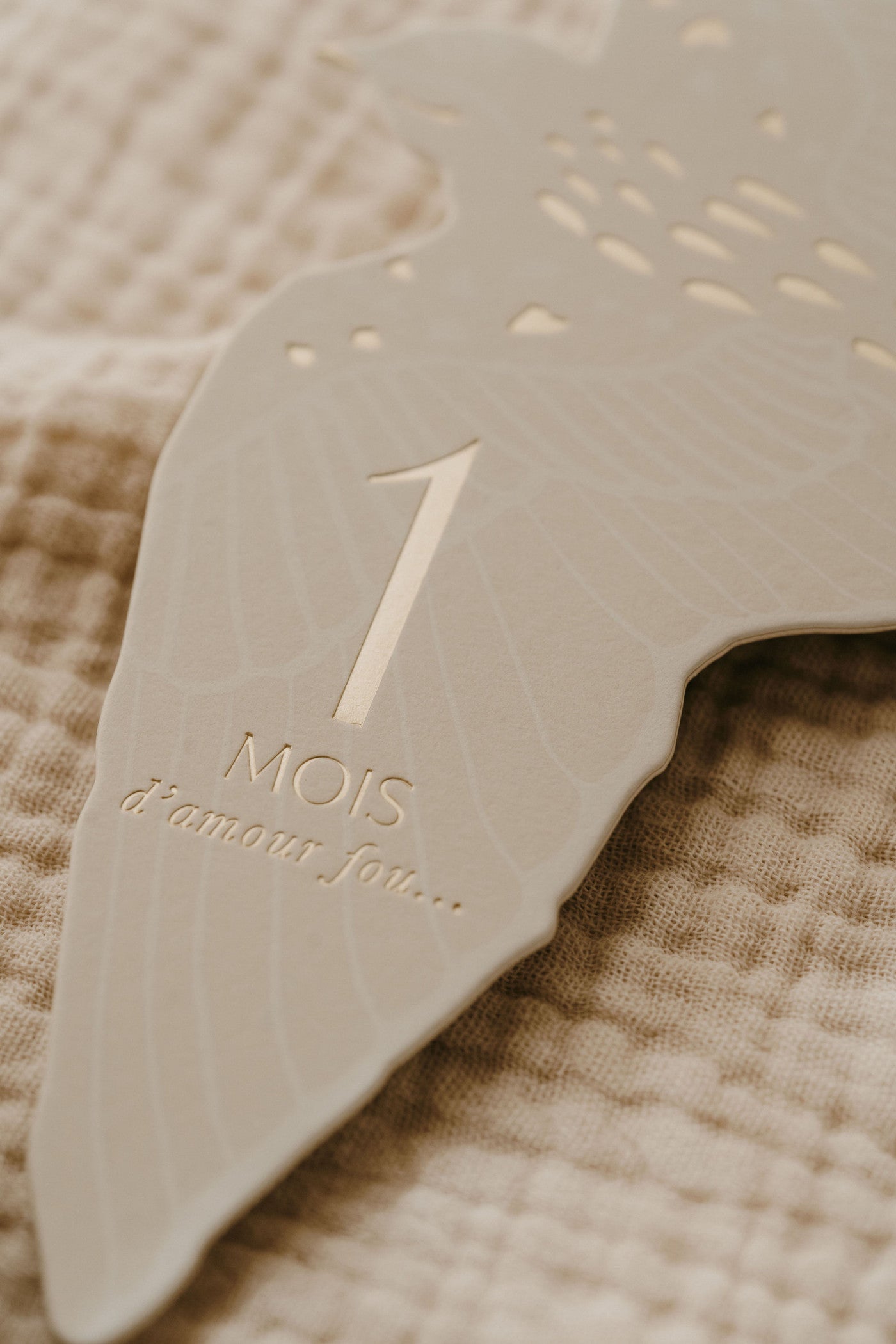 Cartes étapes Birds 2