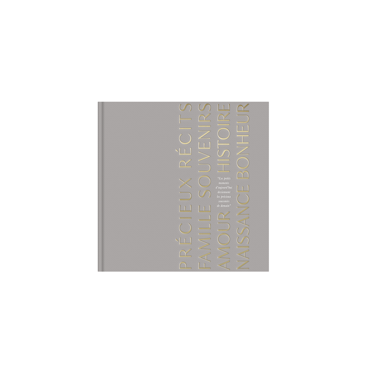 Livre de naissance gris Précieux Souvenirs — stock 1