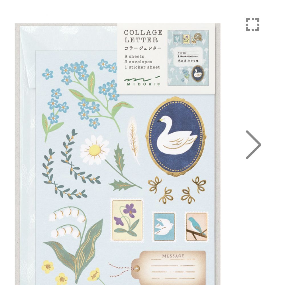 Set papier à lettres — Bleu oiseaux