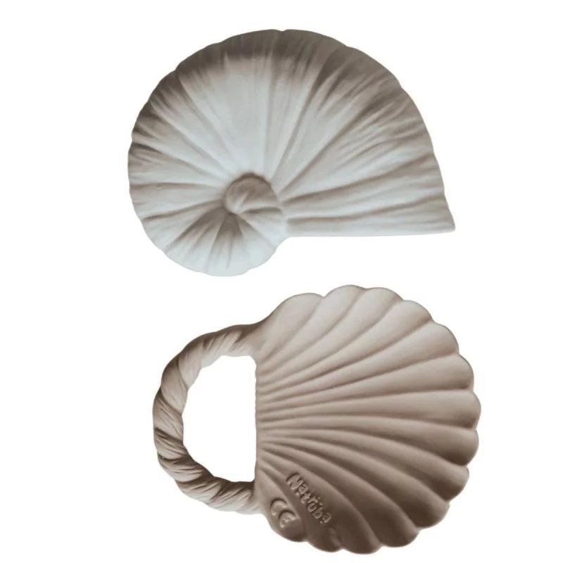 Anneau de dentition coquillage 4
