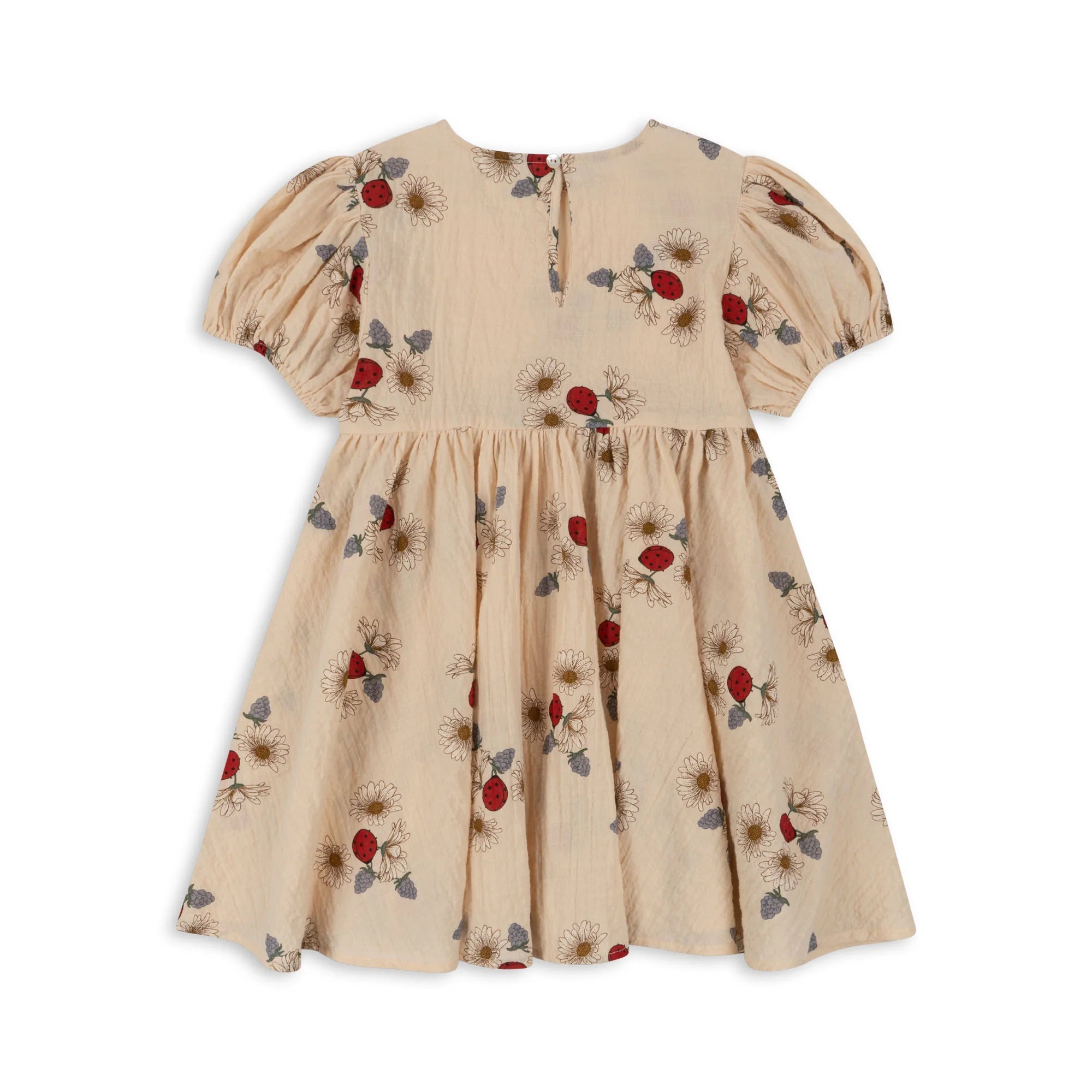 Robe vida 4