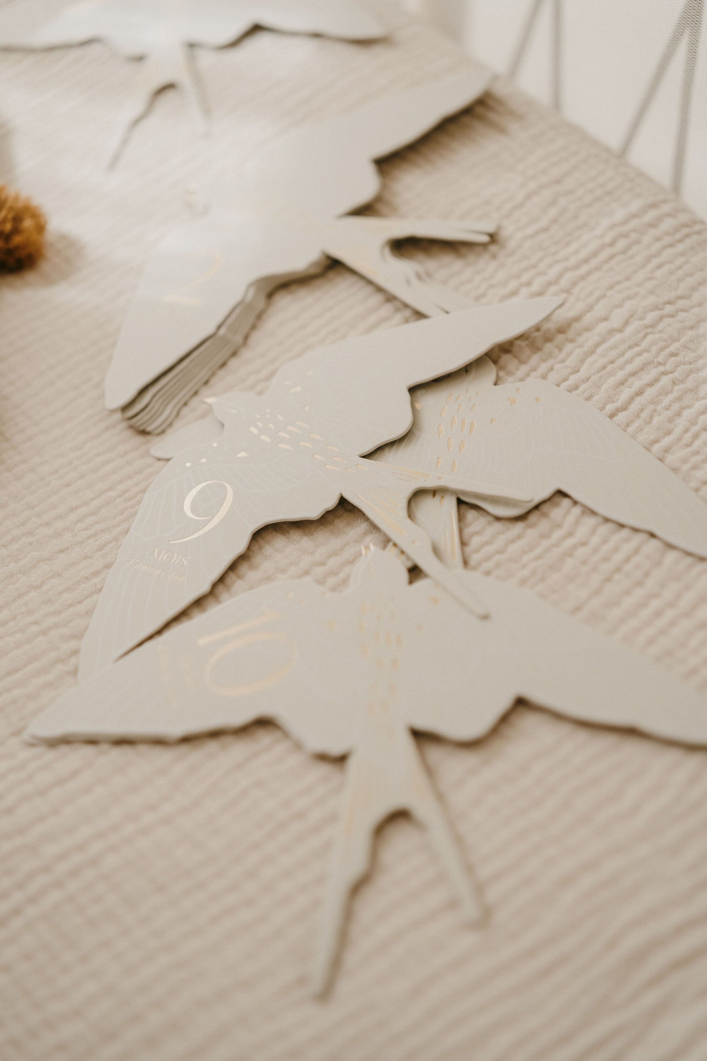 Cartes étapes Birds 5