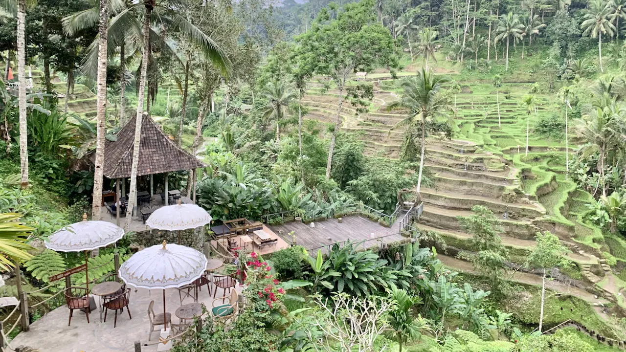 Tegalalang Rice Terraces