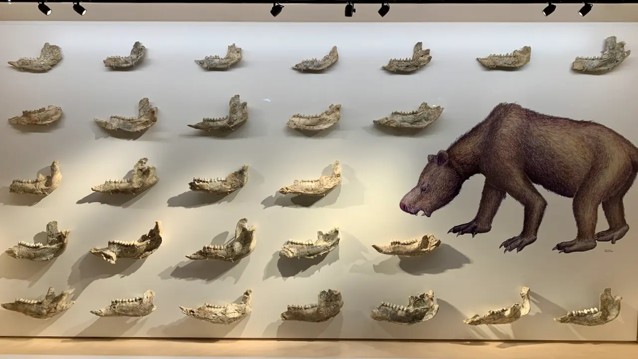 Exhibits in Megafauna Central