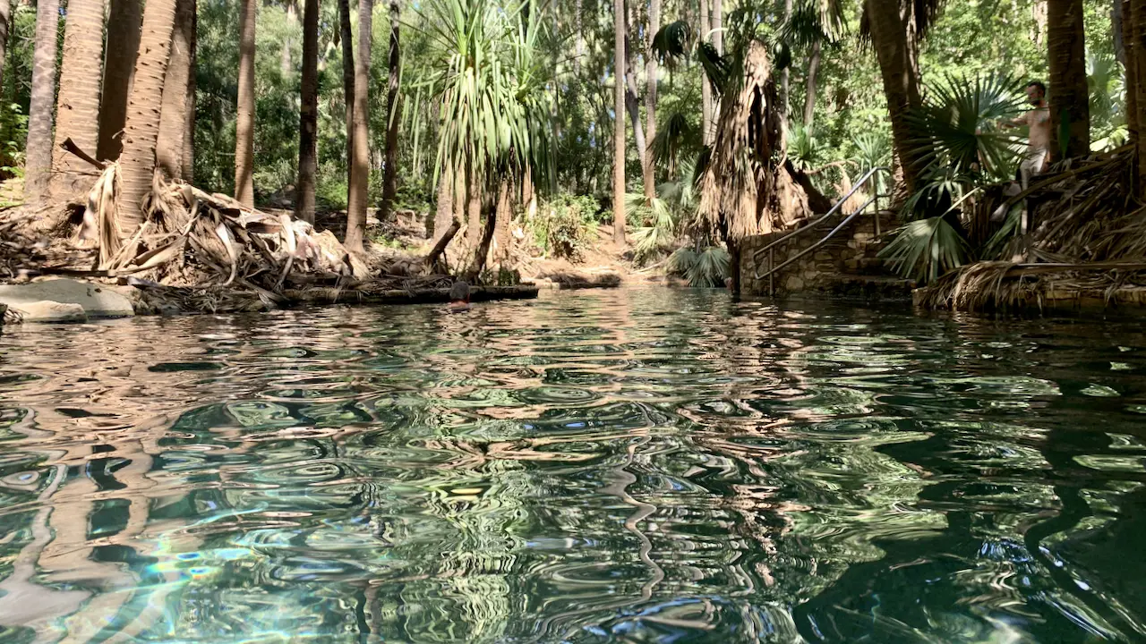 Mataranka Thermal Pool