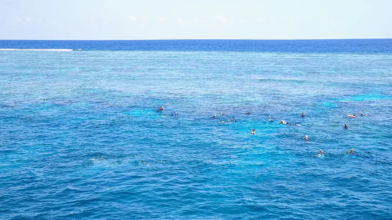 Snorkelling at Norman Reef