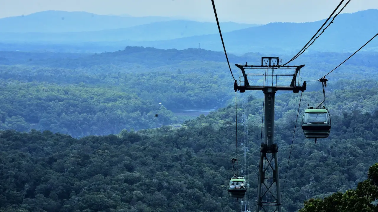 Barron River as seen from Skyrail