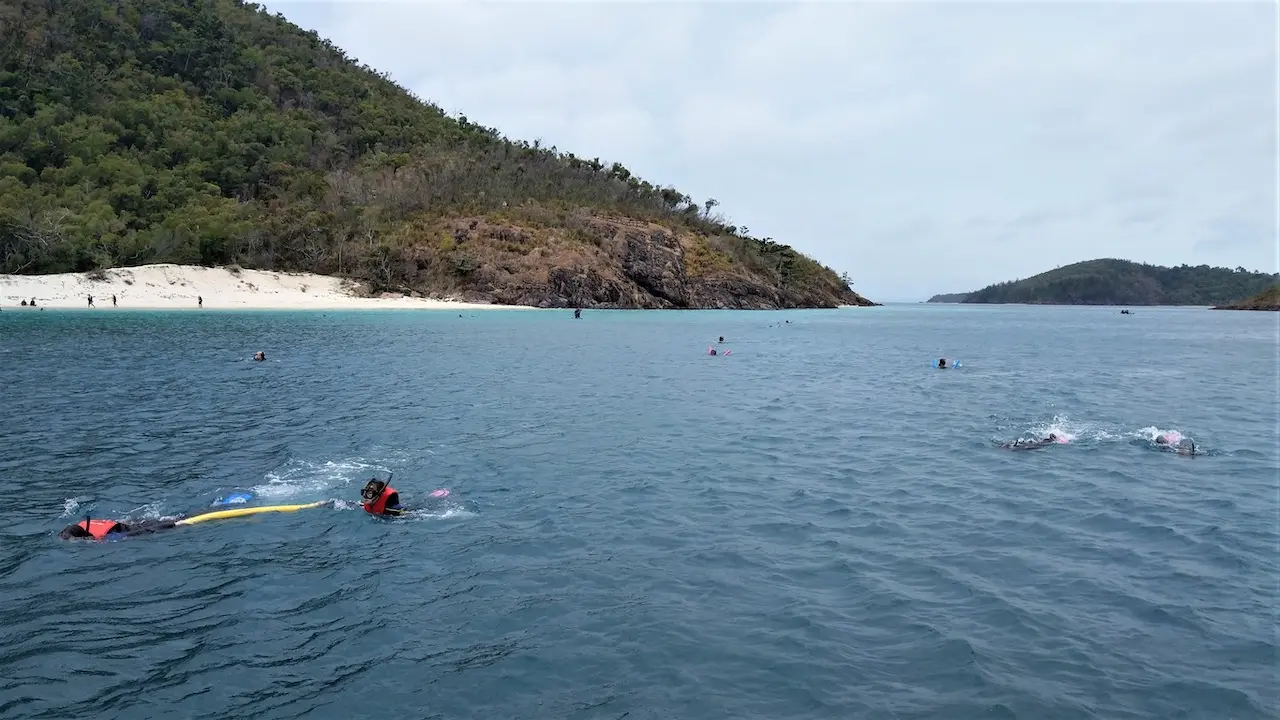 Snorkelling at Haslewood Island Reef