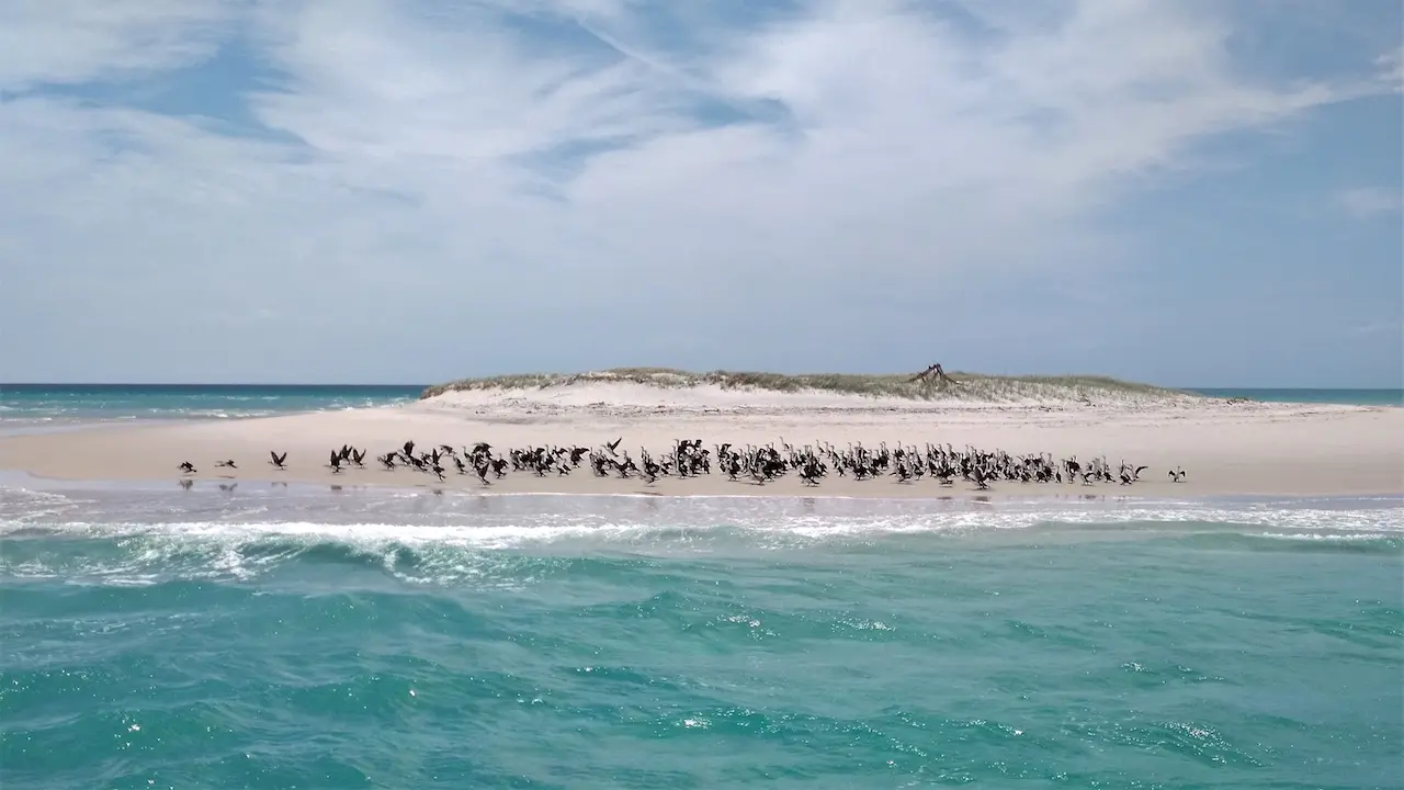 Tiny Island on Fraser Coast (zoomed in)