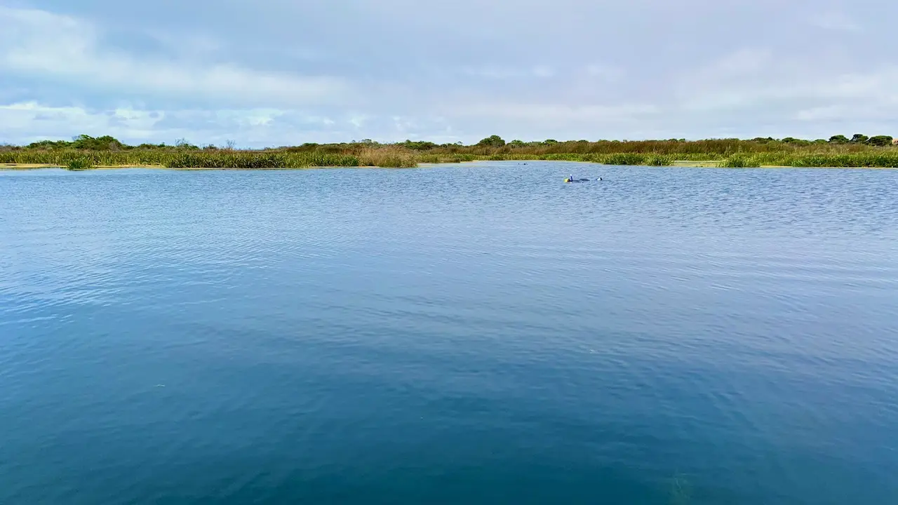 Piccaninnie Ponds