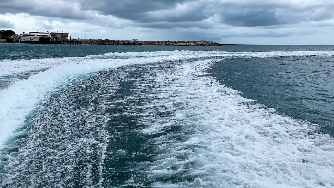 Kangaroo Island Ocean Safari