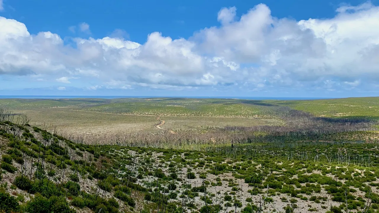 Bushland In Flinders Chase National Park