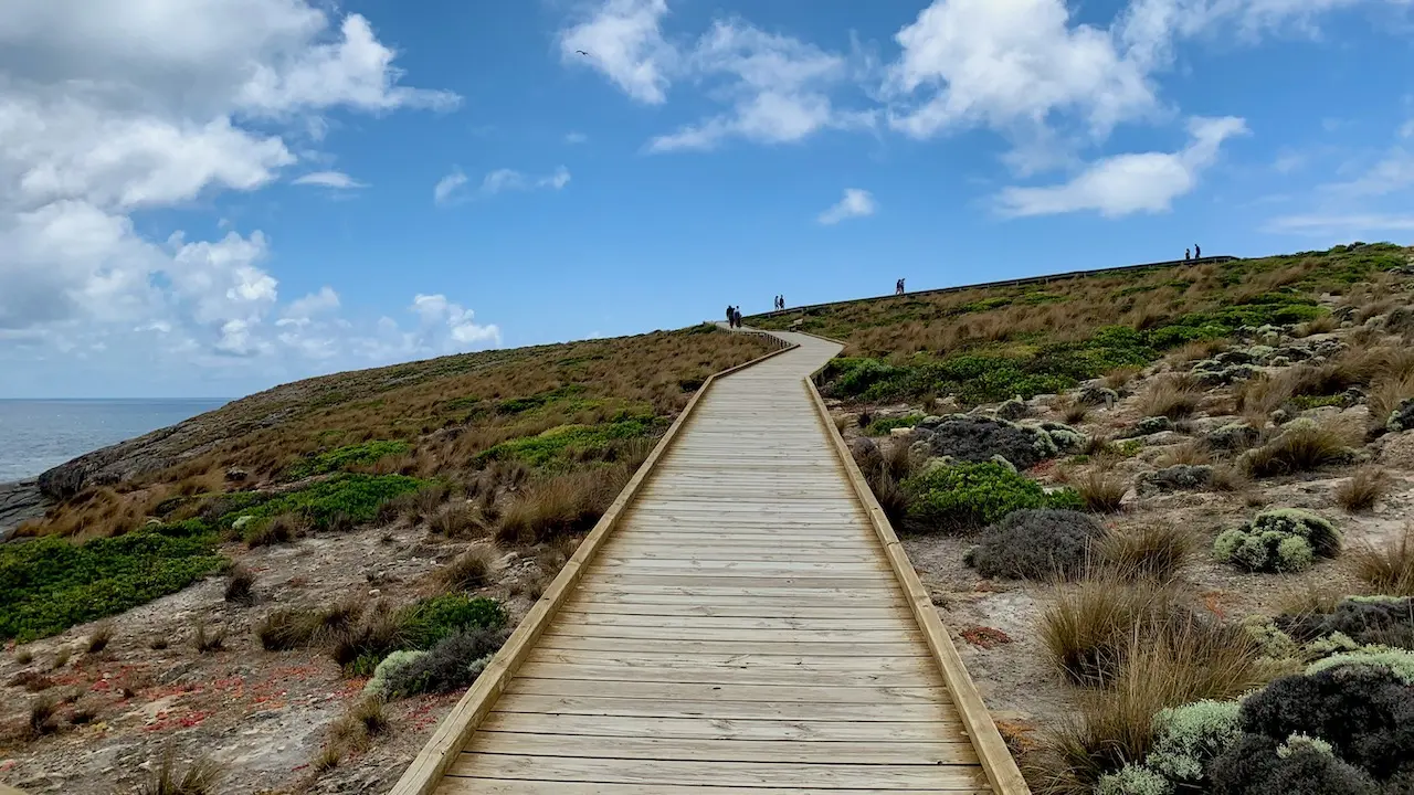 Boardwalk To Admirals Arch