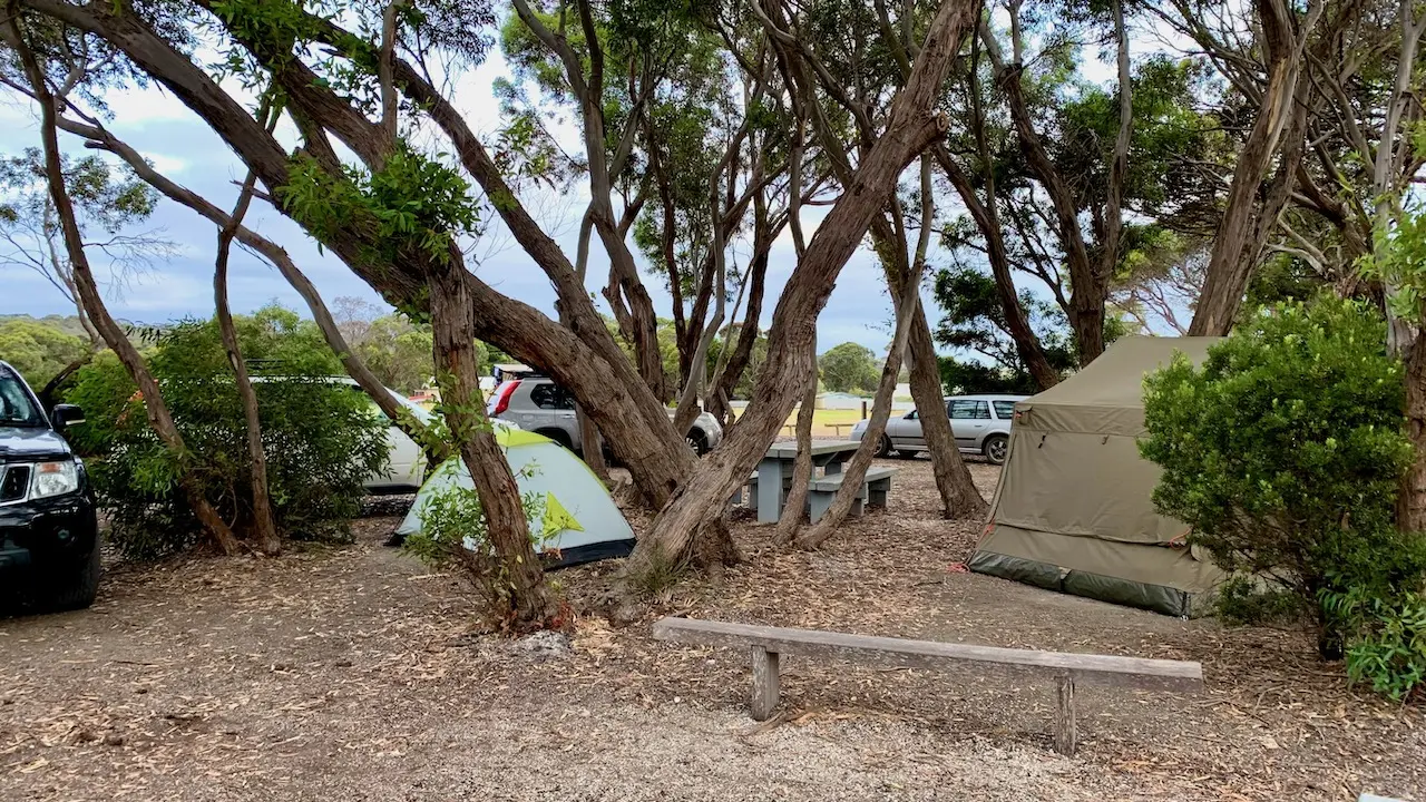 Camping at American River