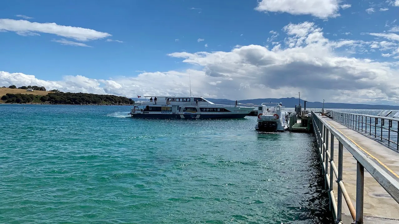 Encounter Maria Island Ferry