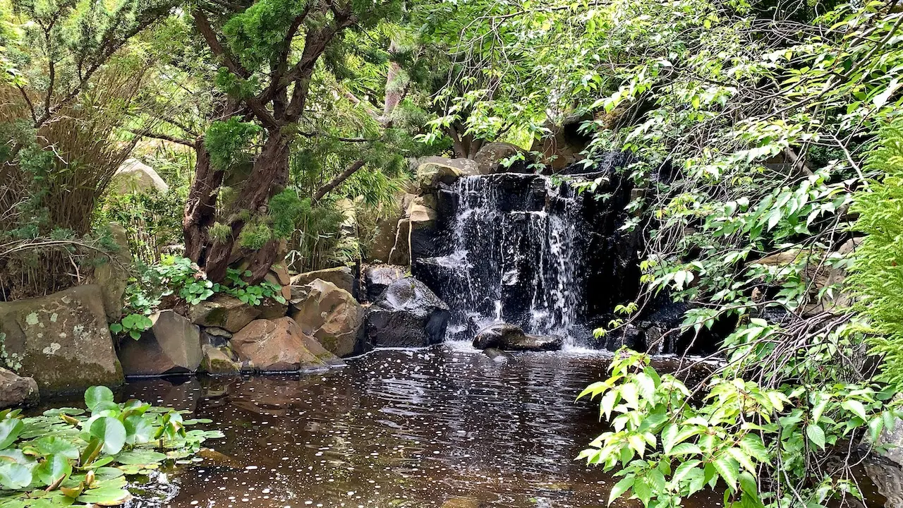 Waterfalls in Japanese Garden