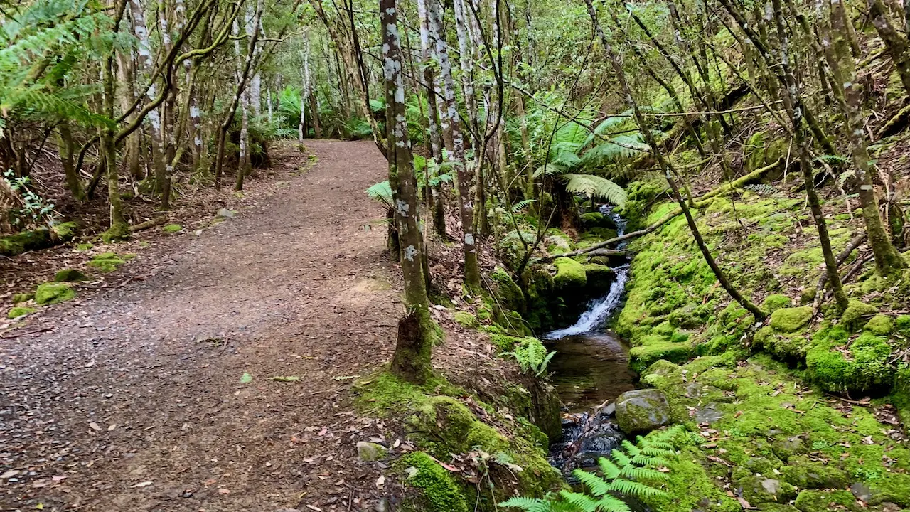 Silver Falls Track, Brown River by the side