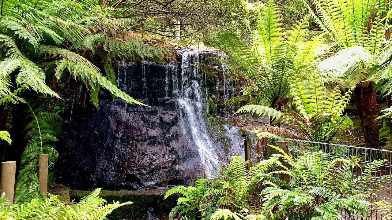 Silver Falls