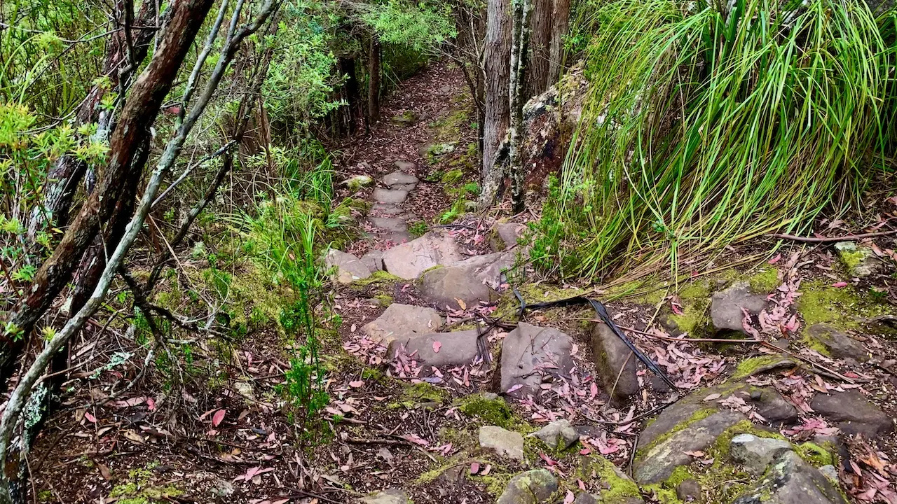 Lower Sawmill Track