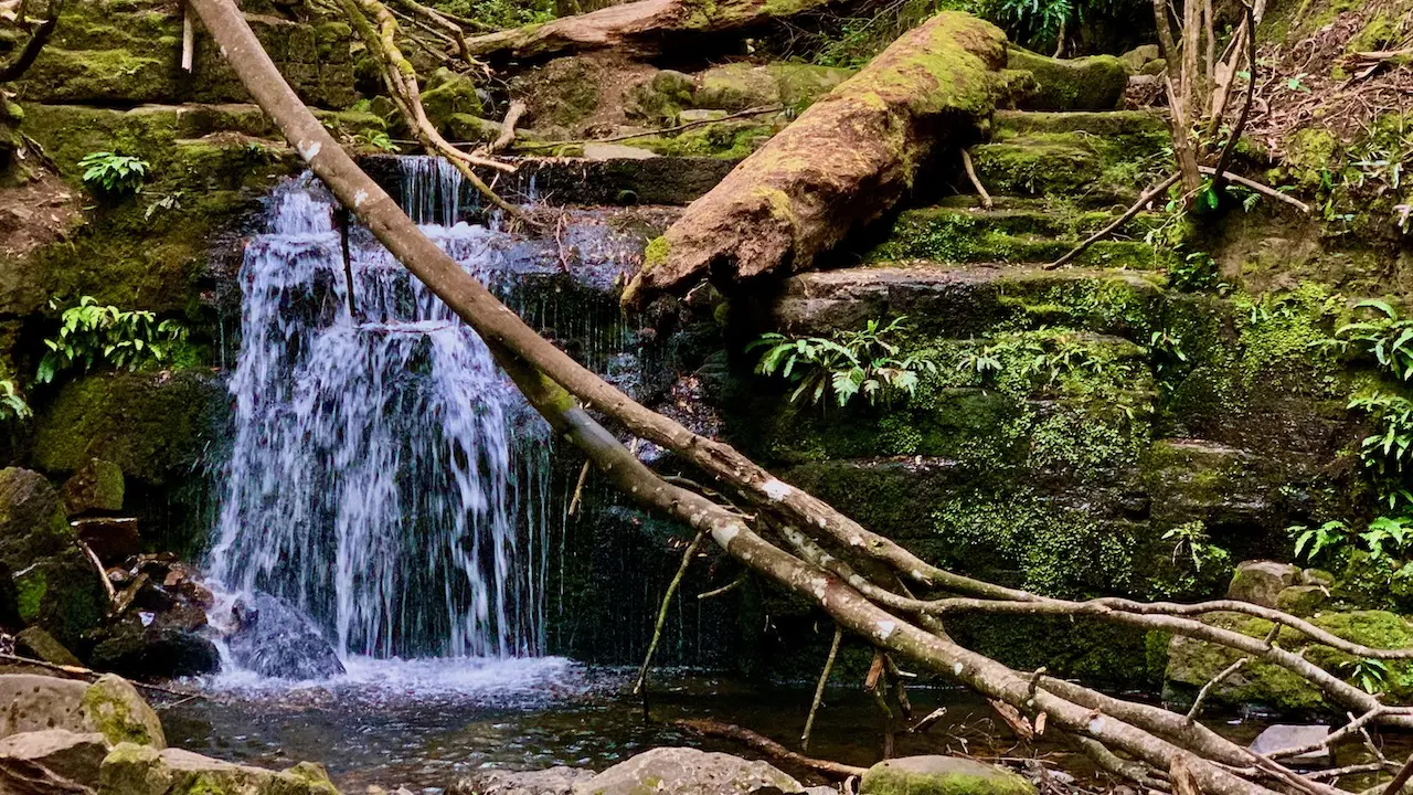 Strickland Falls