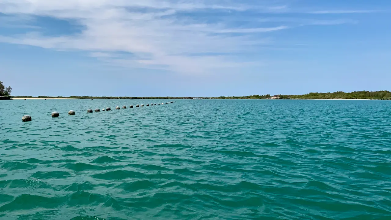 Pearl Harvesting