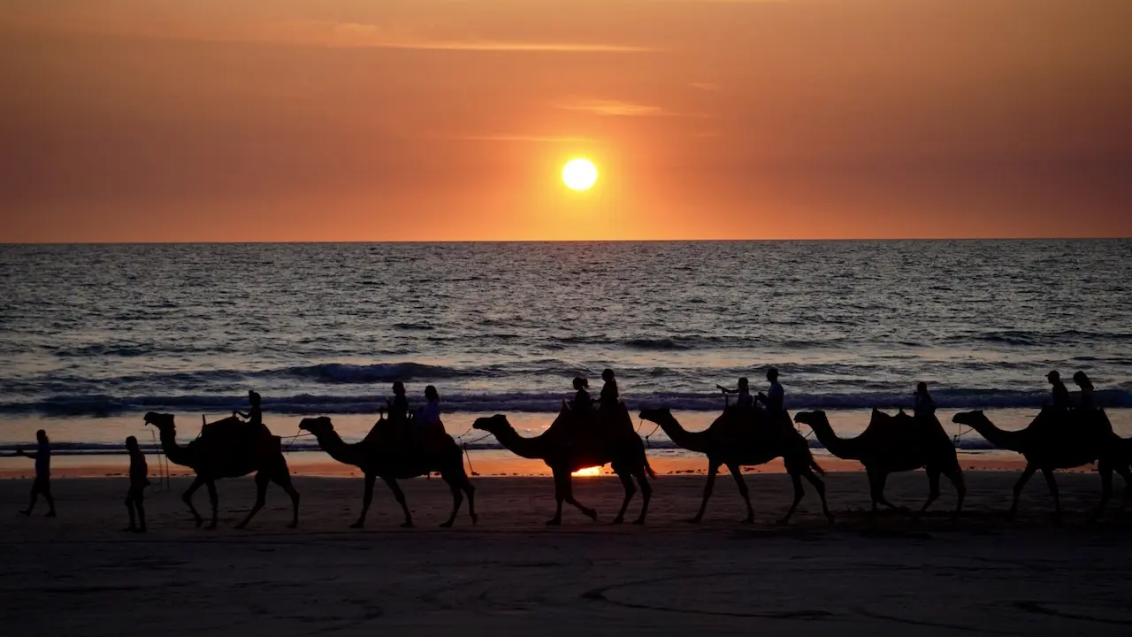 Camel Ride at Sunset in Cable Beach