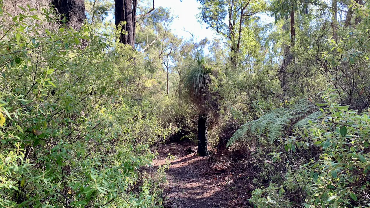 Hike Trails from the Train Station