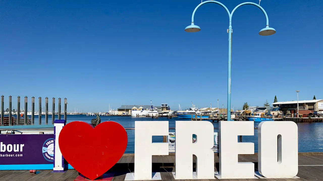 ♥ FREO