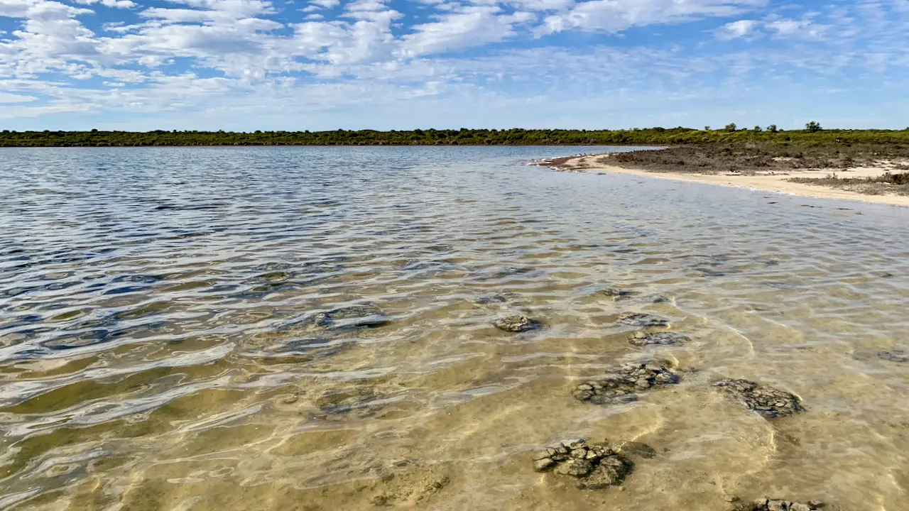 Lake Thetis Stromatolites