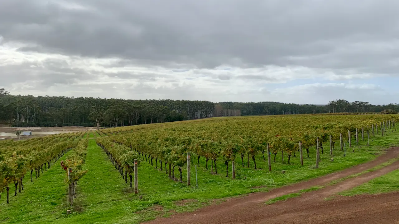 Hamelin Bay Wineyard