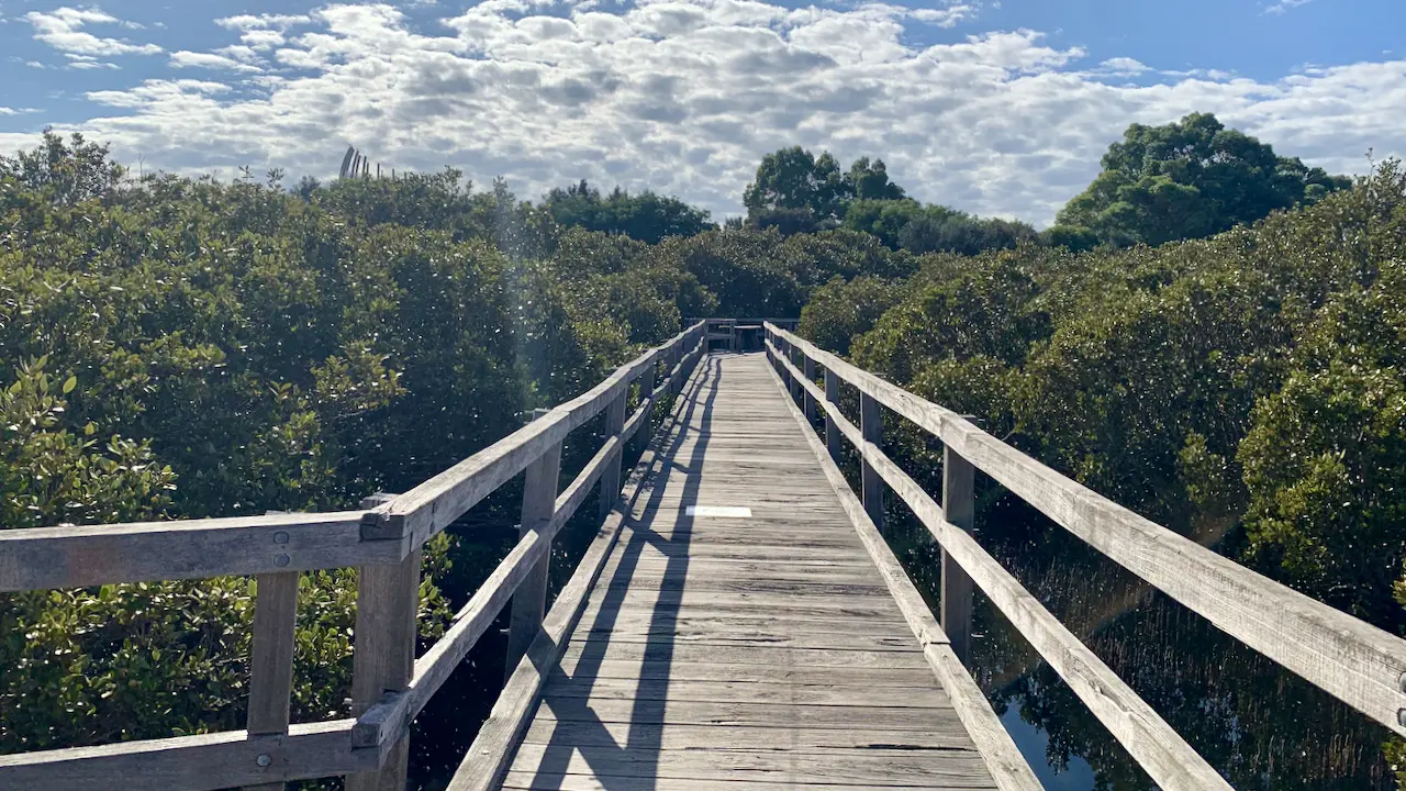 Mangrove Boardwalk in Koombana Park