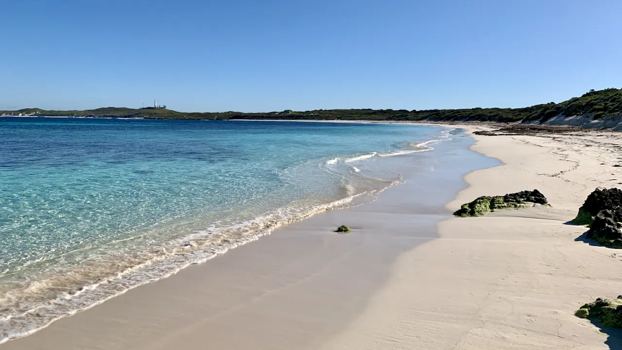 Salmon Bay Beach