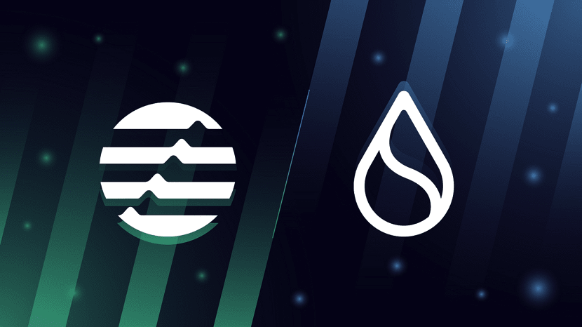 Sui vs Aptos – кто готов взлететь?