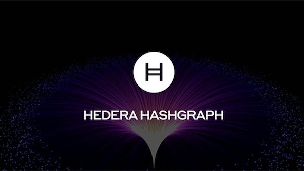 Hedera (HBAR), полный обзор, риски, перспективы
