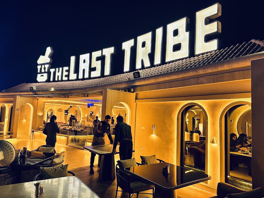The Last Tribe cover