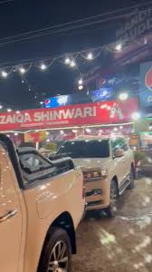 Zaiqa Shinwari cover