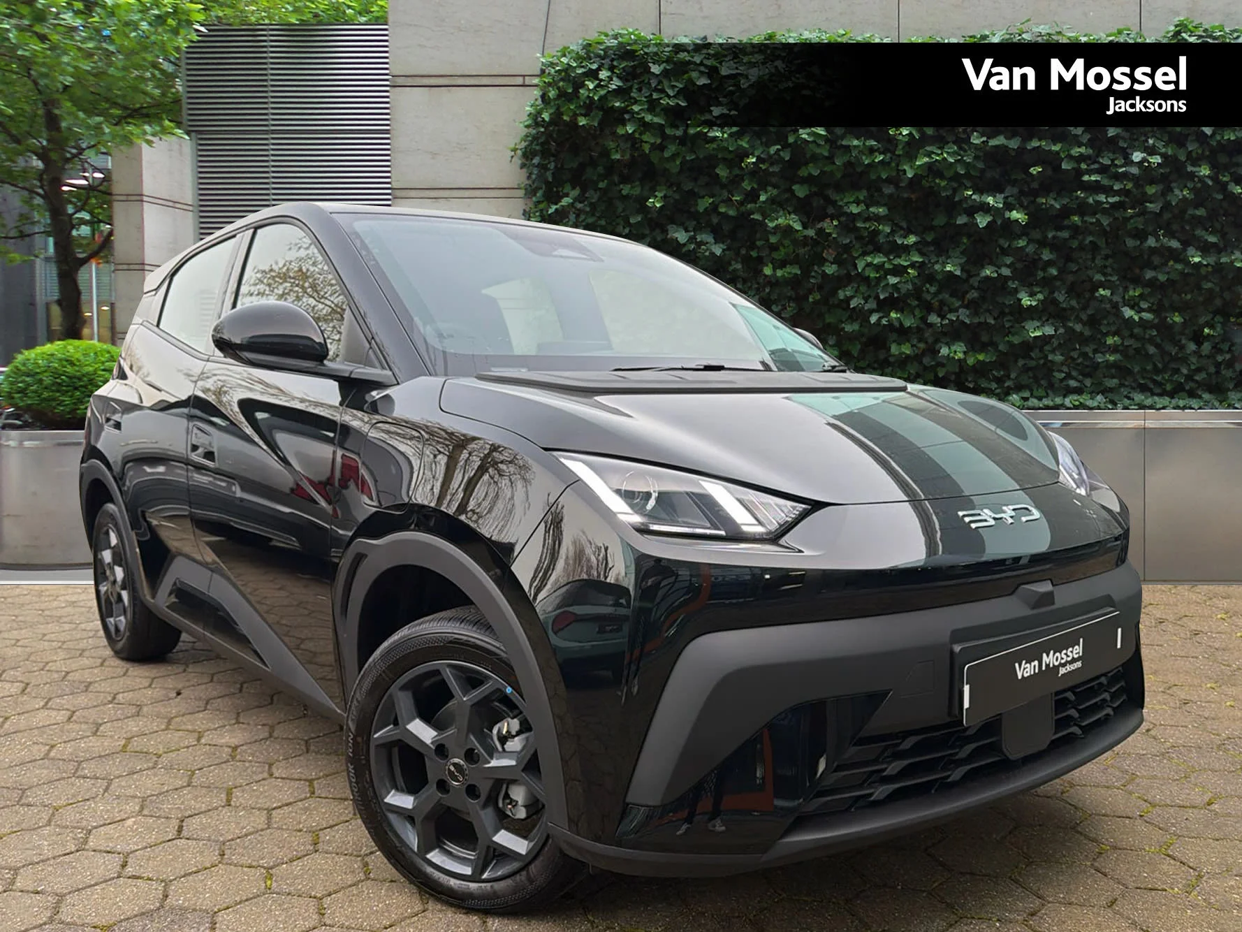 BYD DOLPHIN SURF 65kW Active 30kWh 5dr Auto — photo 1