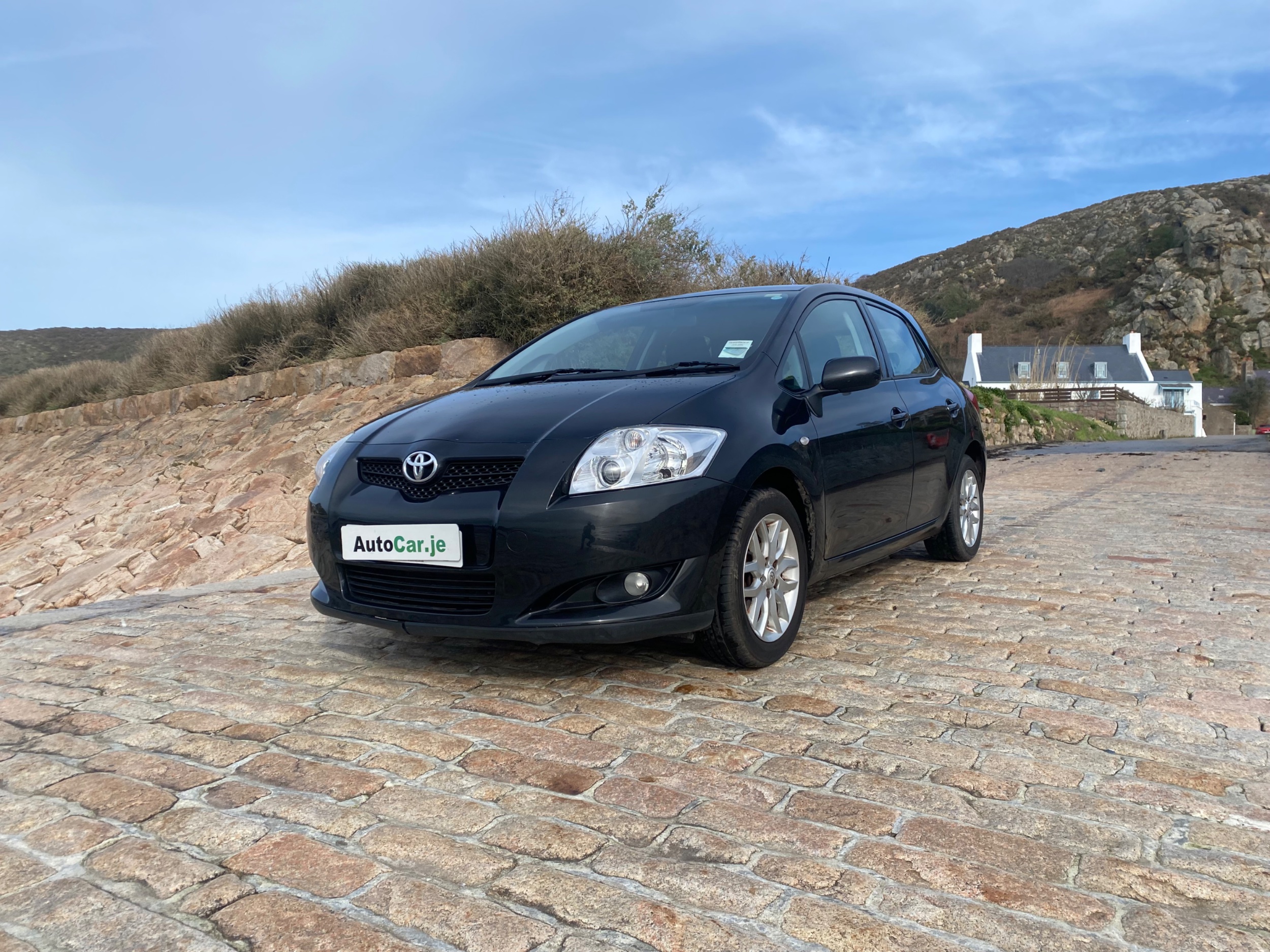 2008 Toyota Auris TR  — photo 1
