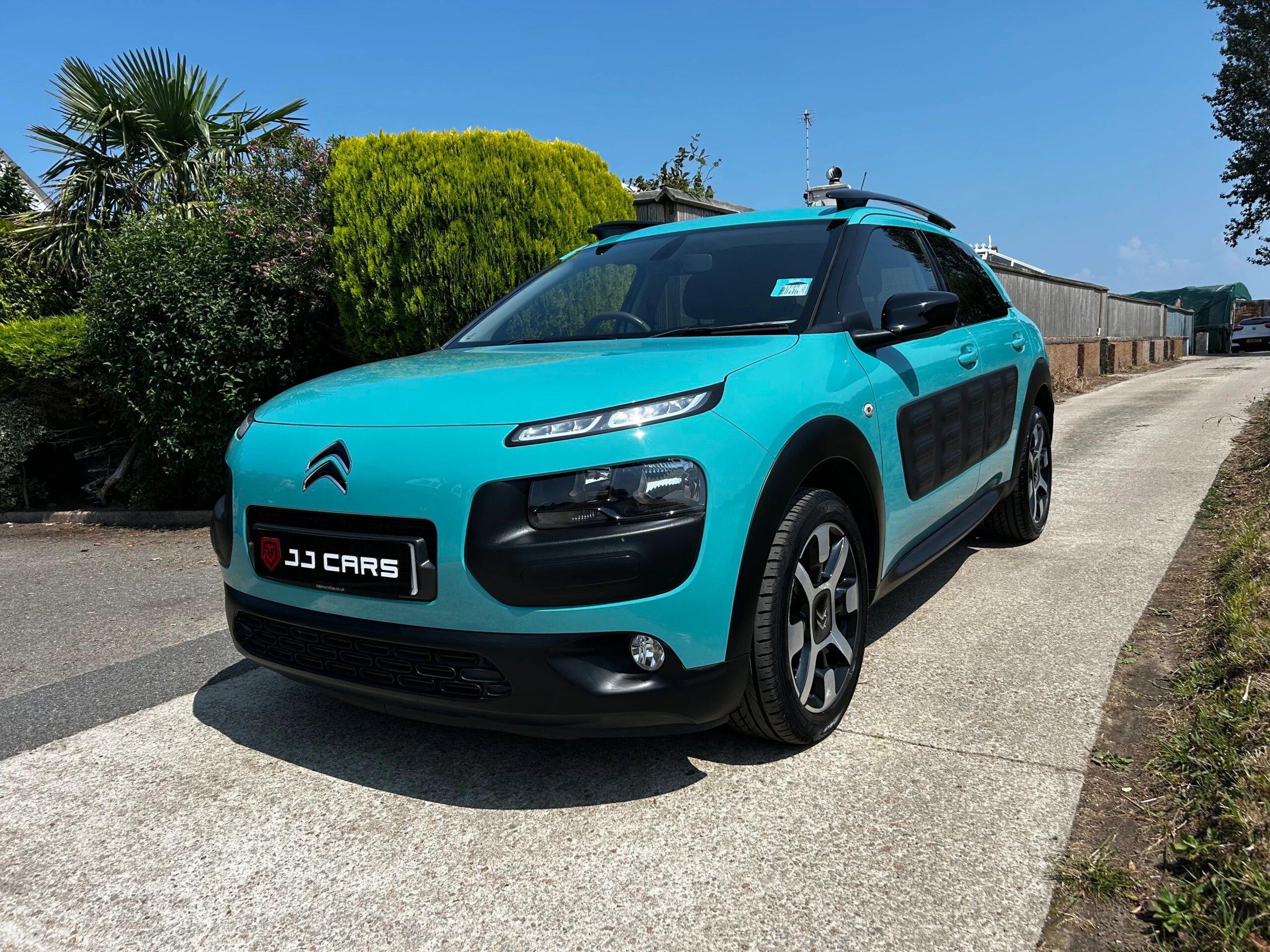 Citroën C4 Cactus — photo 1