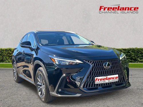 2022 LEXUS NX