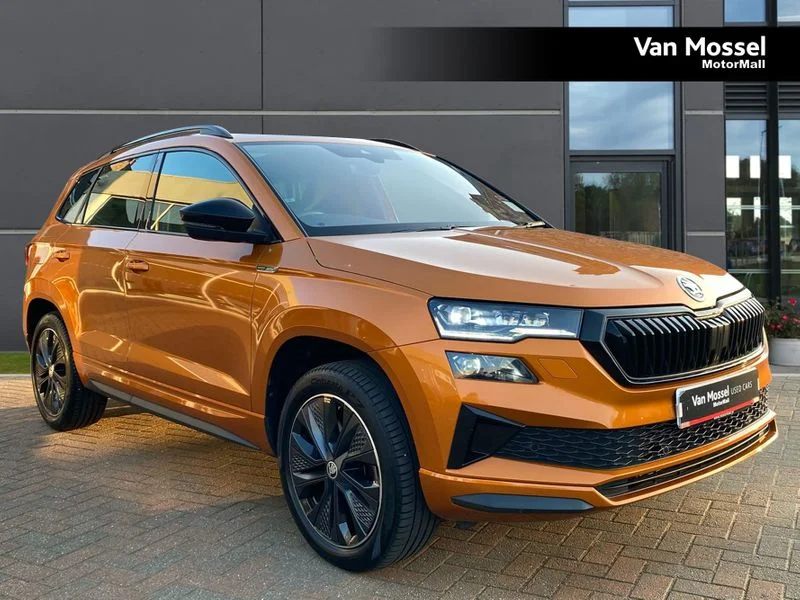 Skoda Karoq Estate 2.0 TSI [190] Sport Line 4x4 5dr DSG — photo 1