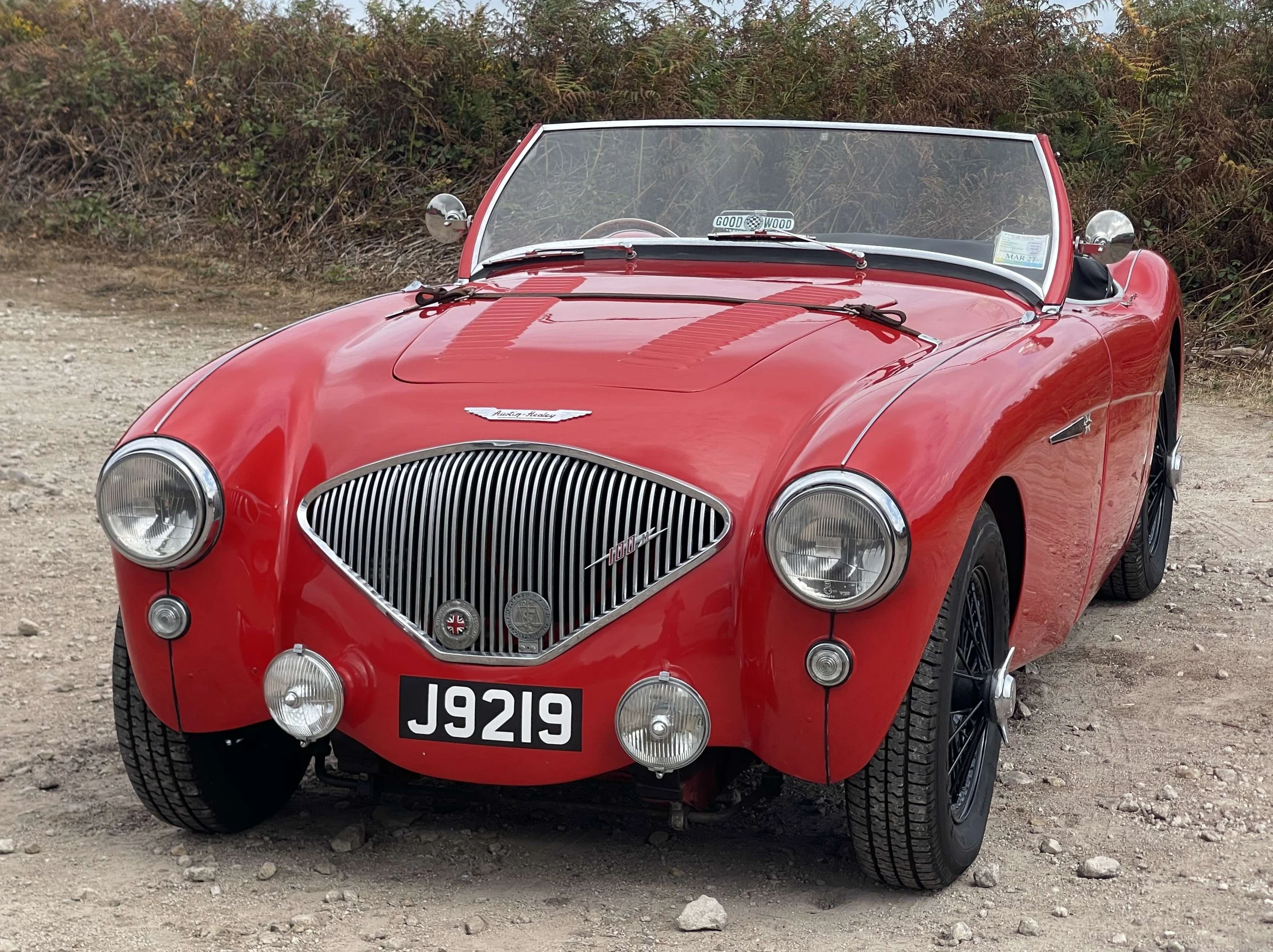 Austin Healey 100-4 BN1 — photo 1